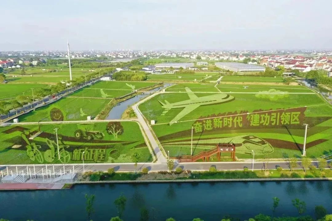 惊艳整个秋天的丰收景,去郊野的"稻"梦空间打卡吧