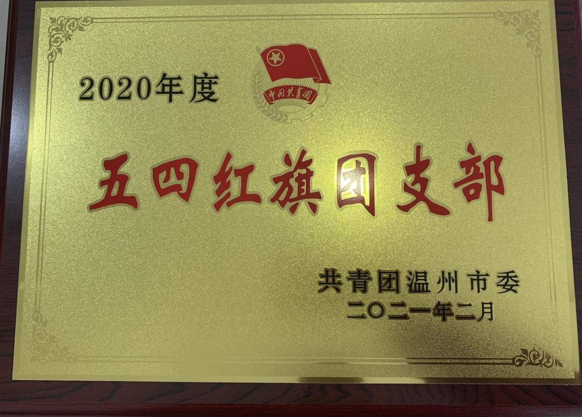 文成分中心团支部荣获"2020年度五四红旗团支部"荣誉称号