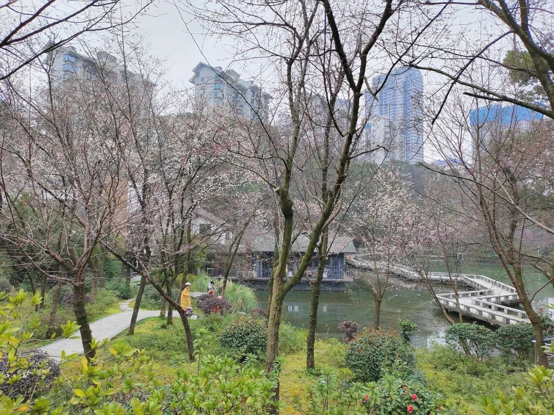 藏在长沙的小众公园真是春日遛娃高颜值