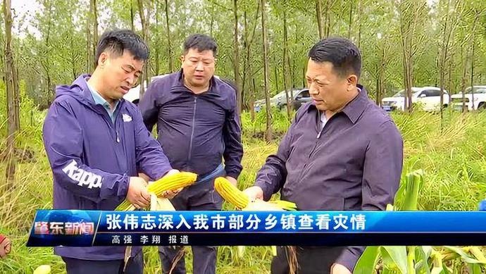 肇东融媒|张伟志深入我市部分乡镇查看灾情