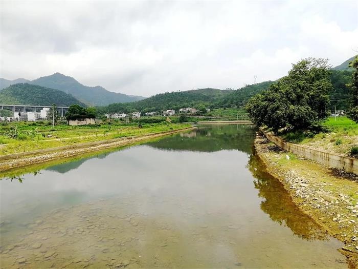 县领导到元善镇大埠村检查指导乡村振兴和灾后重建项目建设工作