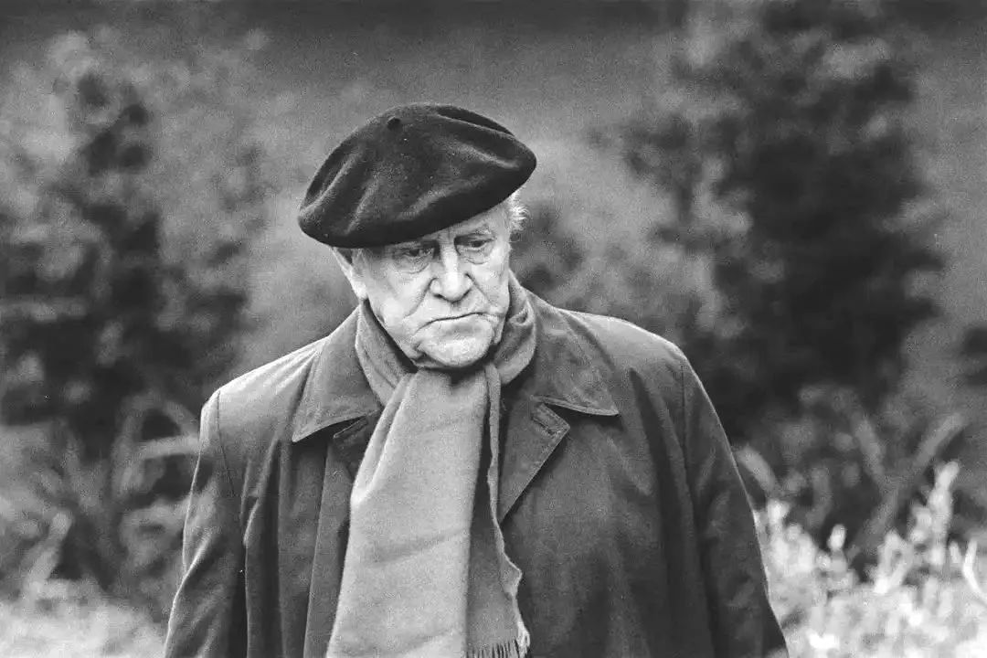 帕特里克·怀特:他一定会理解我为什么对诺贝尔文学奖如此不恭 | 纯粹