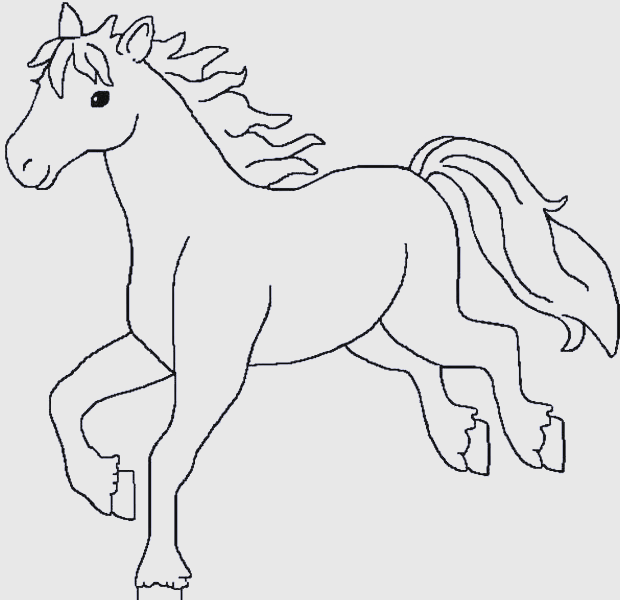 简笔画马全攻略,轻松画出一匹骏马