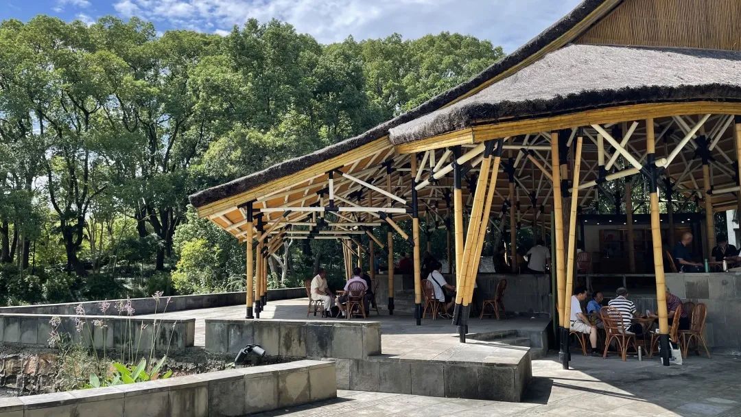 何陋轩茶室重新开放!满满老松江的回忆