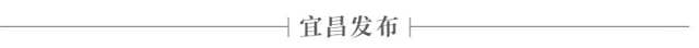 来了来了!橙橙来了!