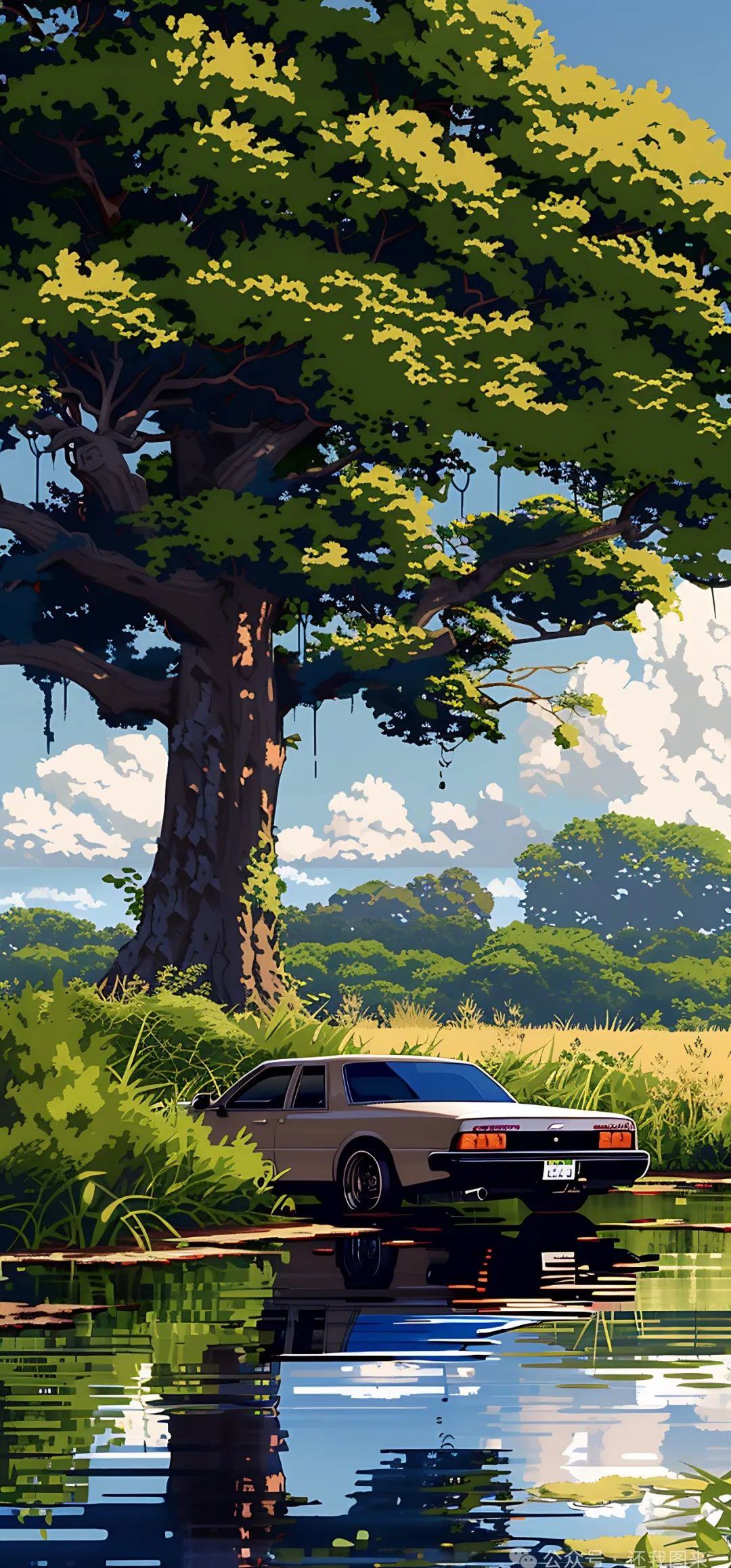 全屏壁纸:大众汽车展现野外傍晚的宁静与活力