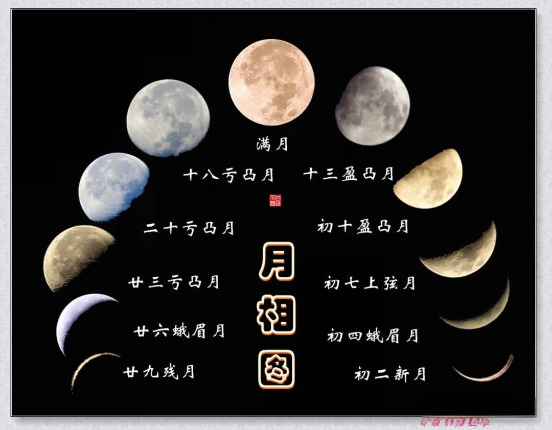 多种月相的组合图