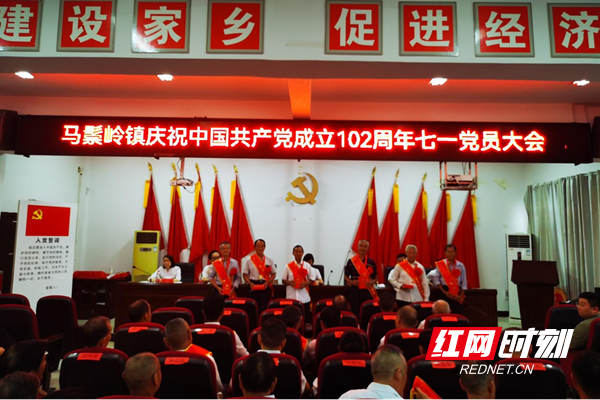 桃源县马鬃岭镇:召开2023年"七一"党员表彰大会