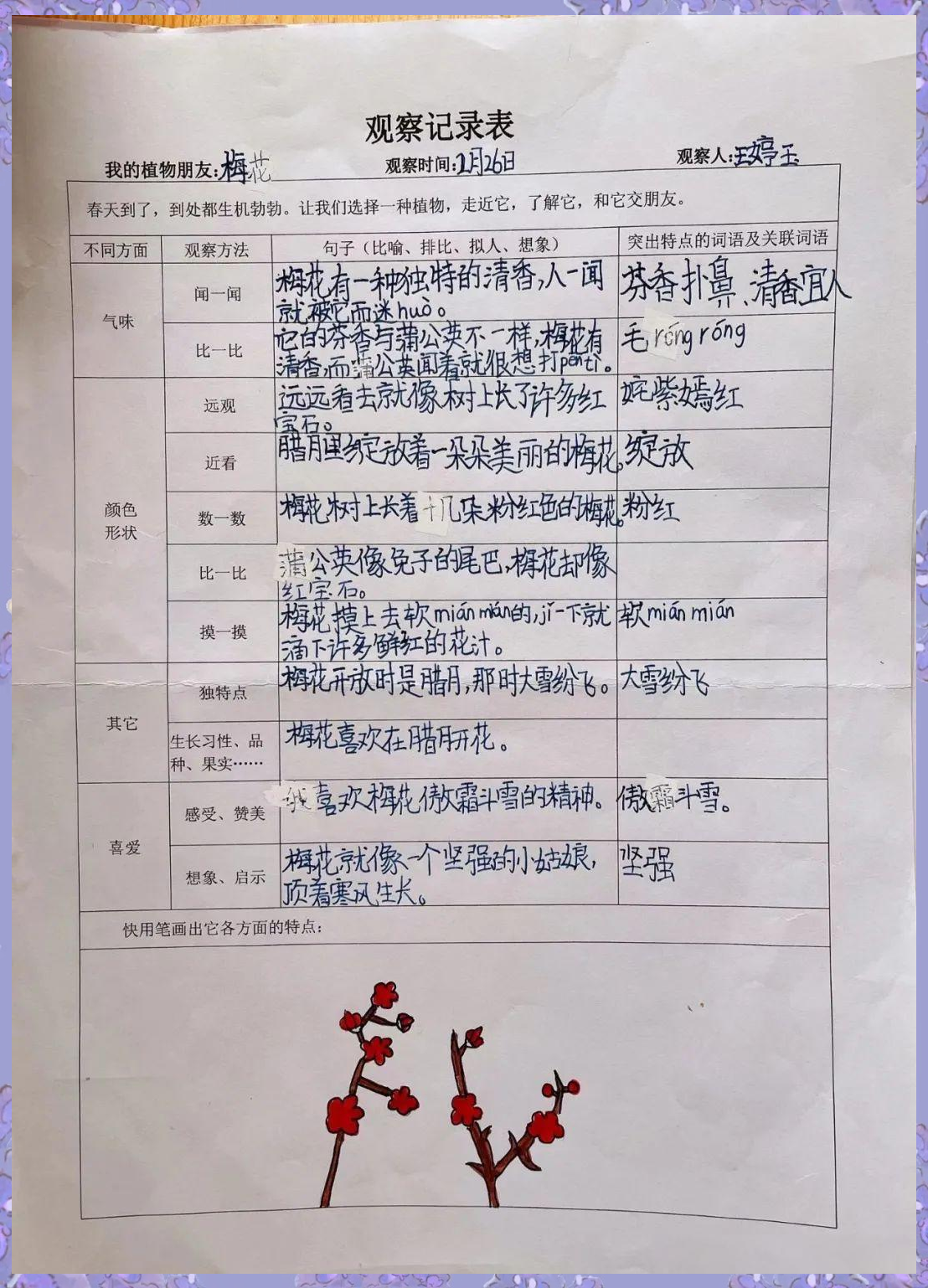 连续七天观察一个植物(连续七天观察一个植物100字)