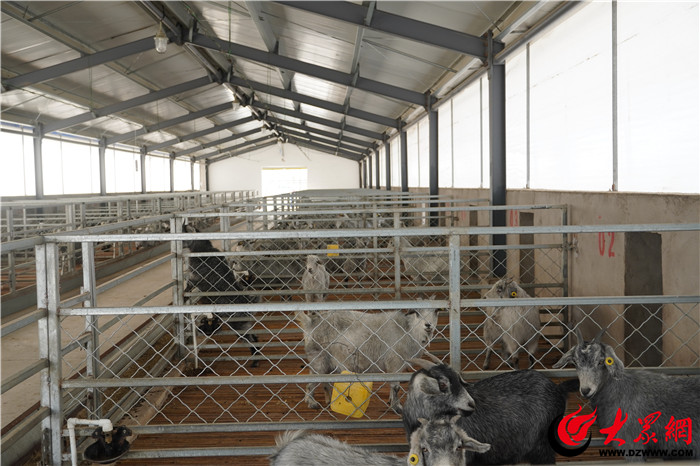 单县好品丨"单县羊肉汤"成为富民产业链