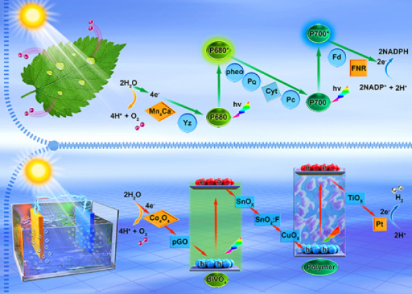 中科院"光电催化分解水制氢"新进展,达到目前文献报道最高效率
