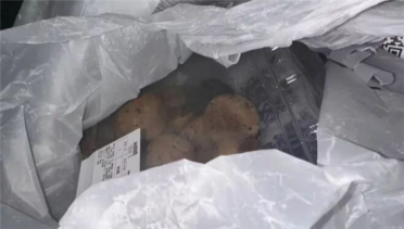 老鼠、蛆虫、农残等食品安全问题多发！山姆总部迎来官方正式约谈