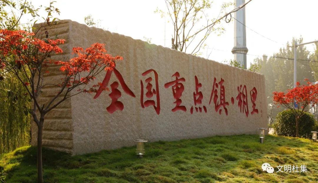 「我为群众办实事」杜集区朔里镇人大:解民忧暖民心