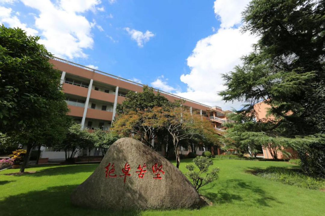 宝山样板 绿色先锋|吴淞中学:培育绿色低碳"生力军"