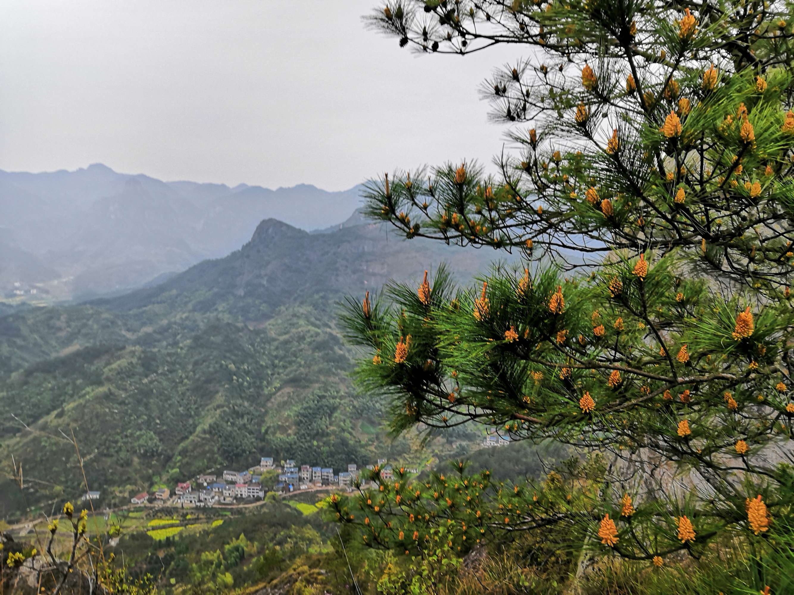 龙游乌石山图片