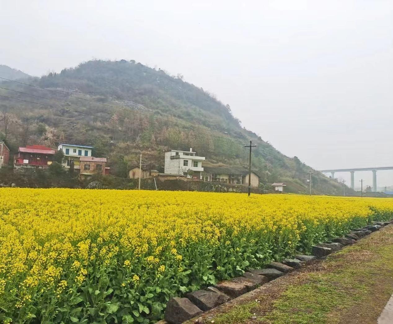 东安:芦江水库整装再出发 吹响建设发展奋进号