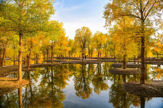 甘肃酒泉金塔:沙漠胡杨风光惹人醉