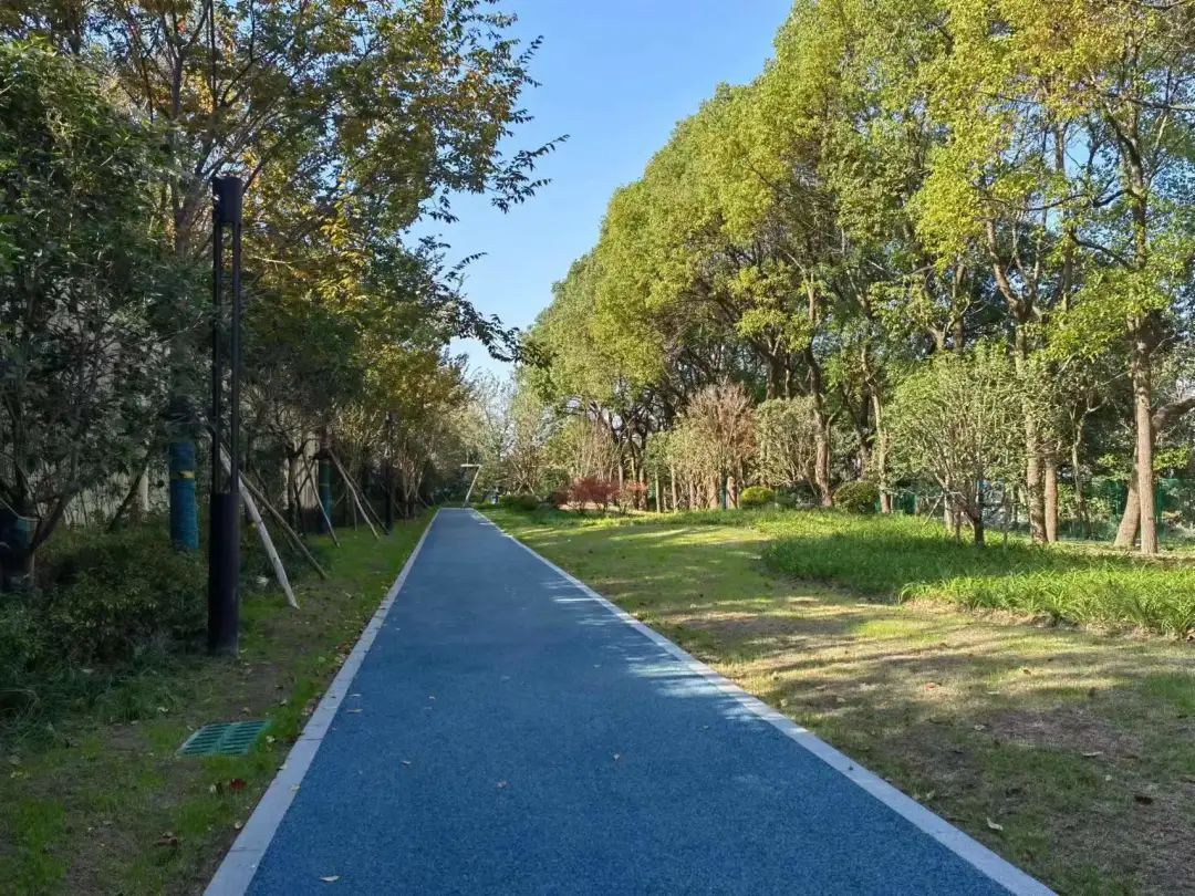 不必远行!九里亭这些家门口的宝藏去处,同样值得打卡