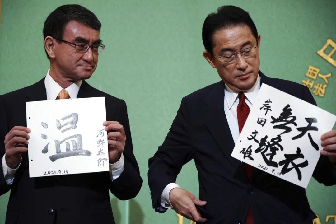河野太郎(左)与岸田文雄(右).图源:视觉中国