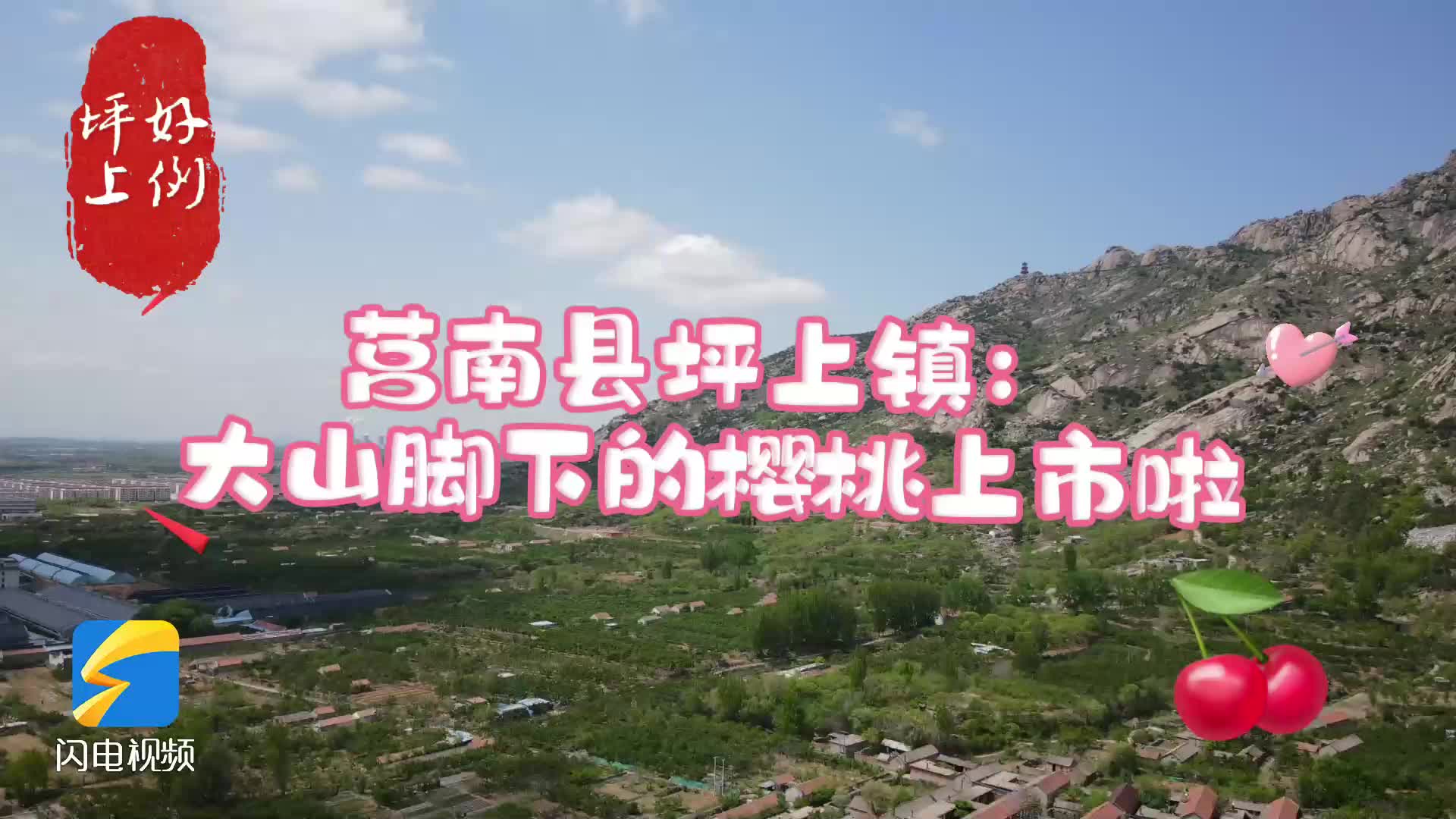 樱桃熟了!"樱桃之乡"莒南县坪上镇樱桃上市