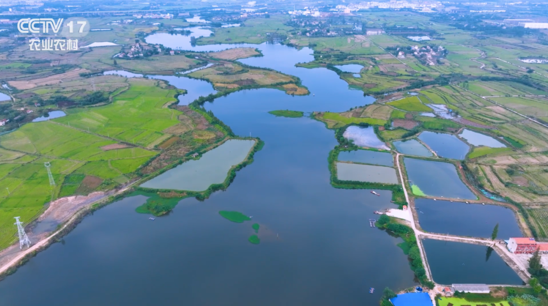 古泽云梦 水乡新城