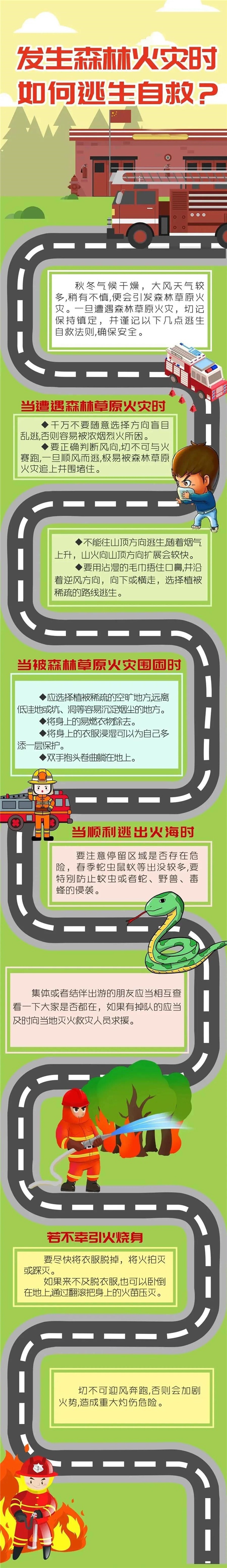 发生森林火灾时如何逃生自救?