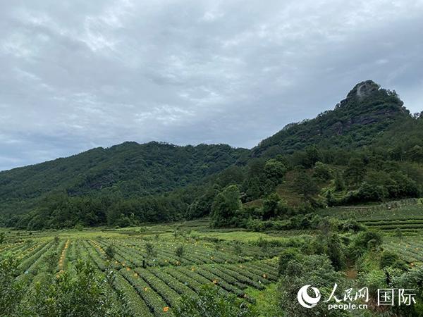 燕子窠山场简介图片