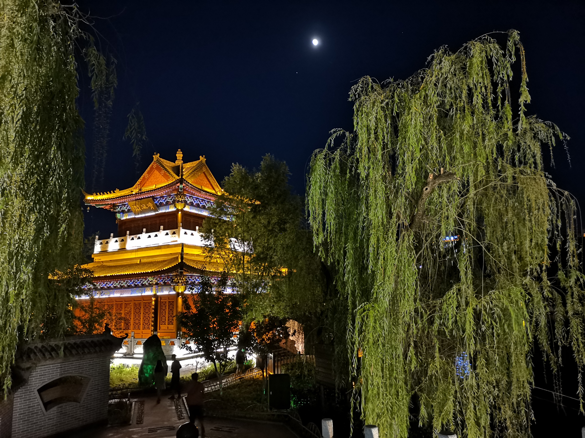 人民公园夜色
