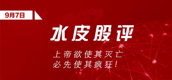 水皮「谈股论金」上帝欲使其灭亡,必先使其疯狂