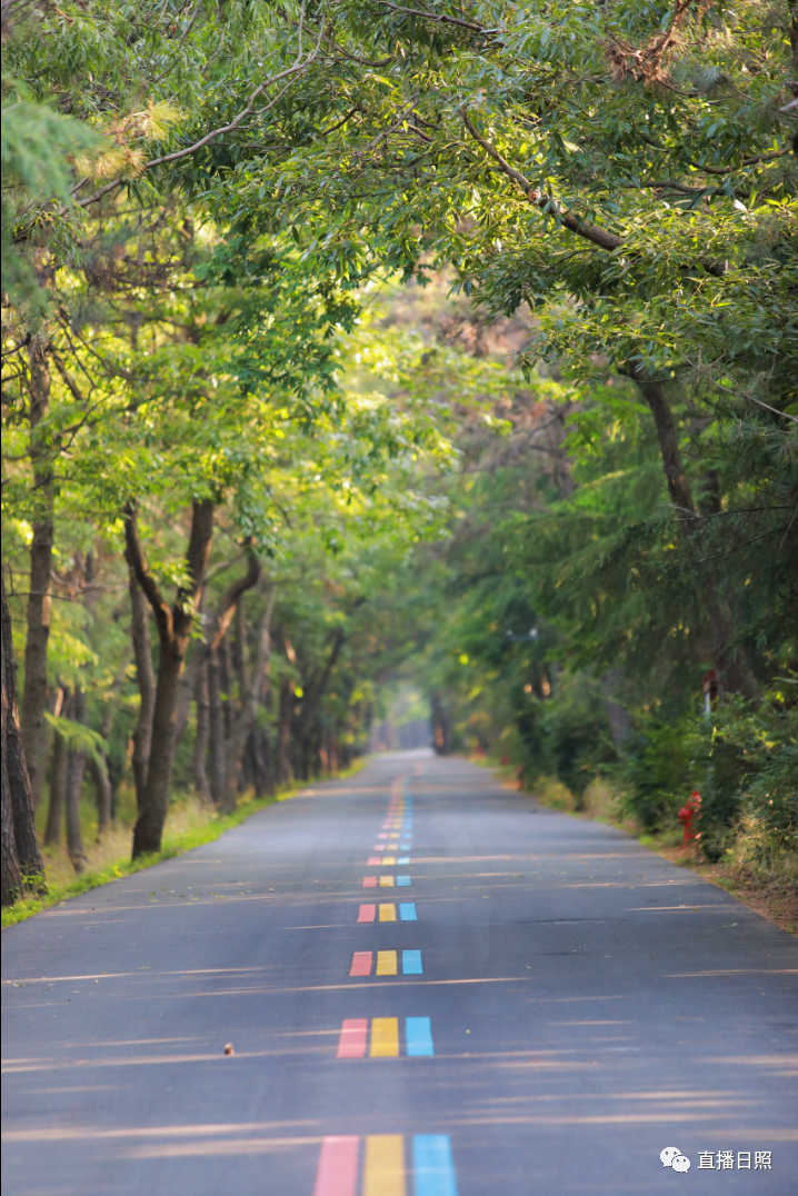 山东大范围高温来袭!日照天气