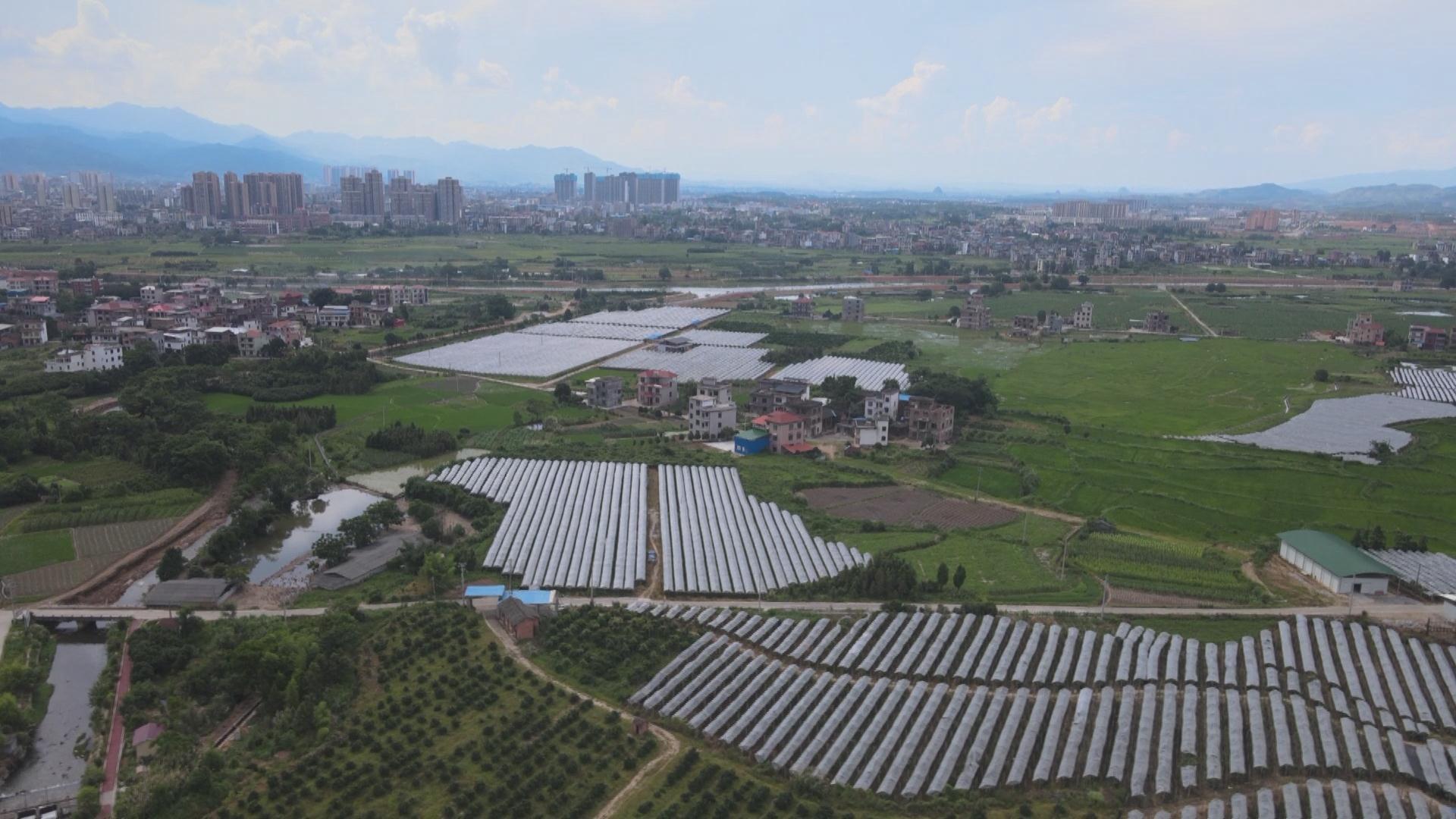 蓝山县塔峰镇地图图片