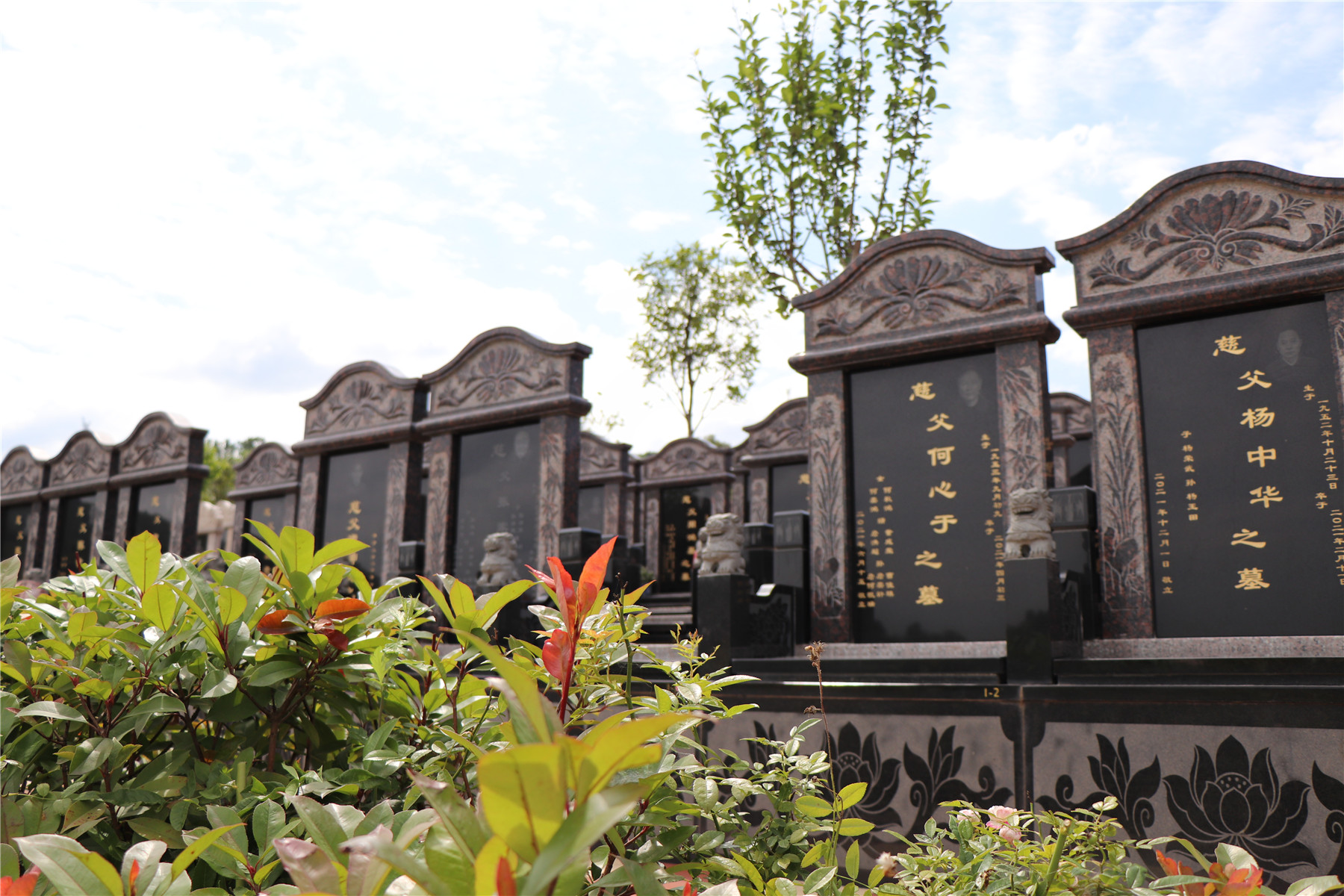 真武山憩园丨沉浸于温馨回忆的花园,走进这片永恒之地