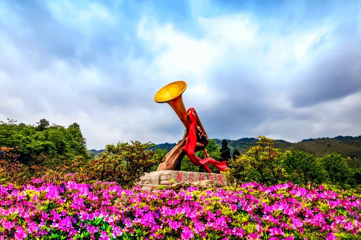 井冈山十里杜鹃花图片