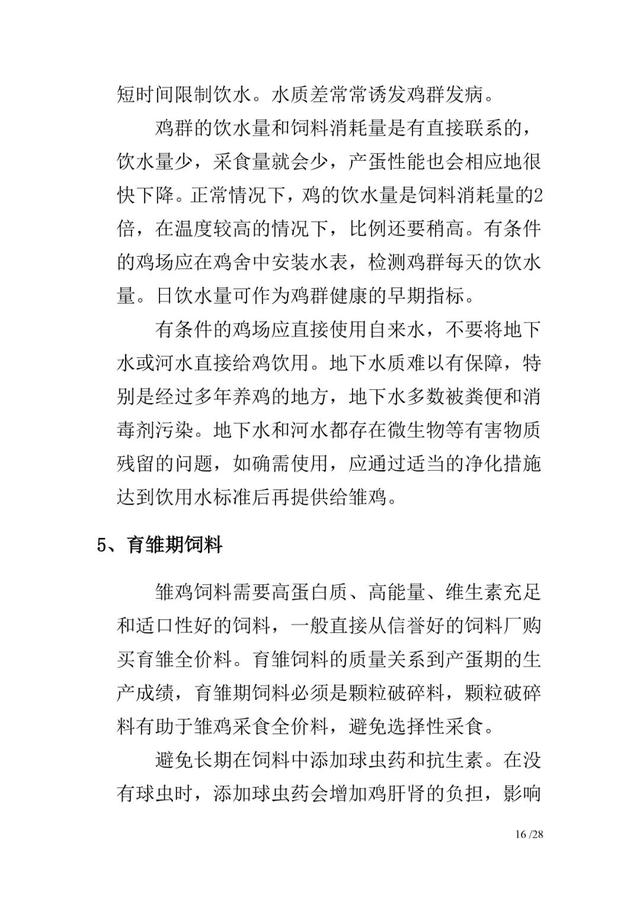 新杨黑蛋鸡饲养管理手册