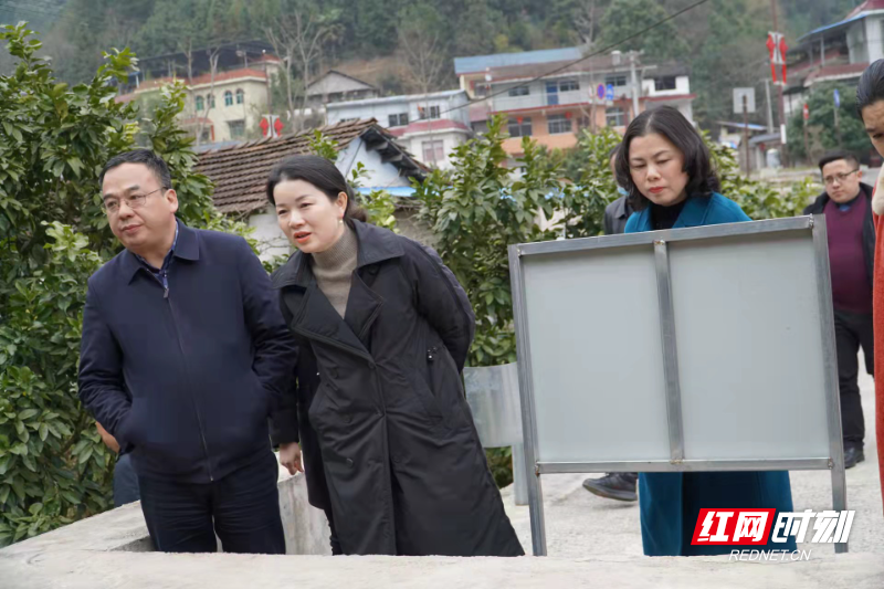 永定区:戴必欣深入沙堤街道调研乡村振兴工作
