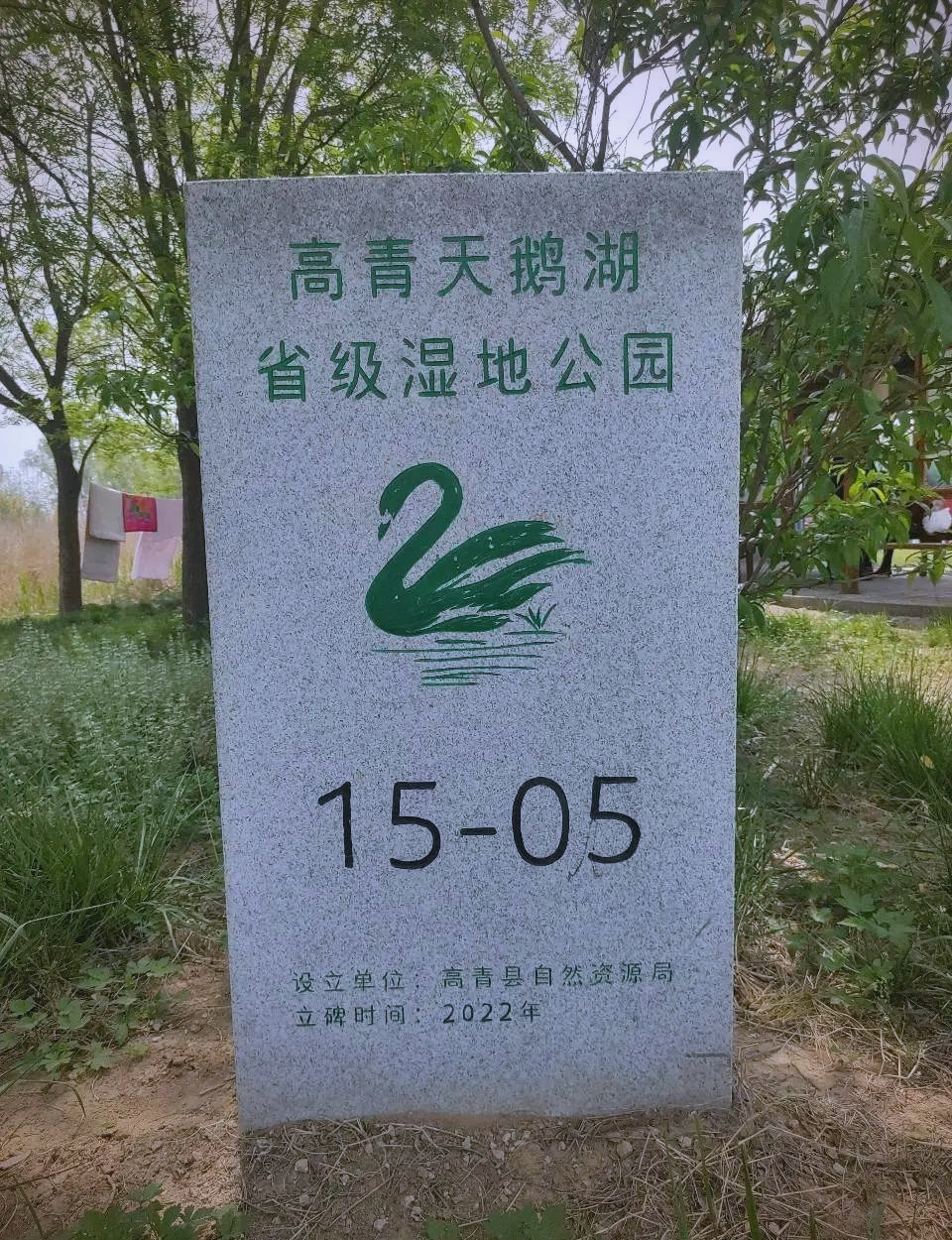 高青县蓑衣樊村:黄河岸边的风光与诗意生活