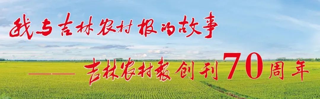 我与吉林农村报的故事