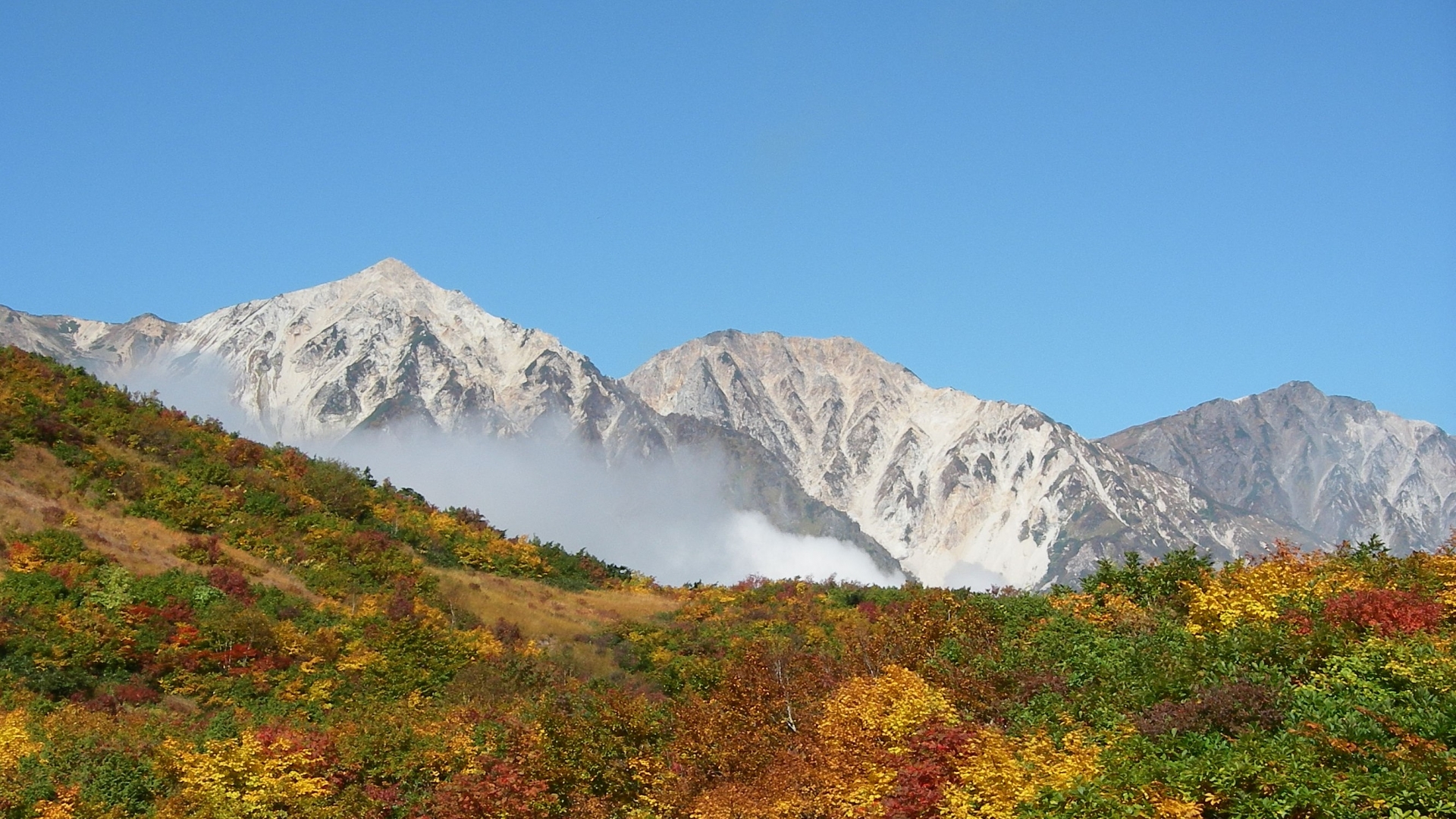 野心勃勃,上进心强的星座,要想让他爱上你,就要对他体贴有耐心