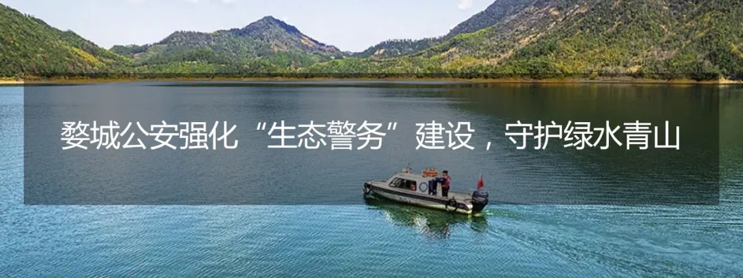 婺城反诈周记(2024年第二十二期)