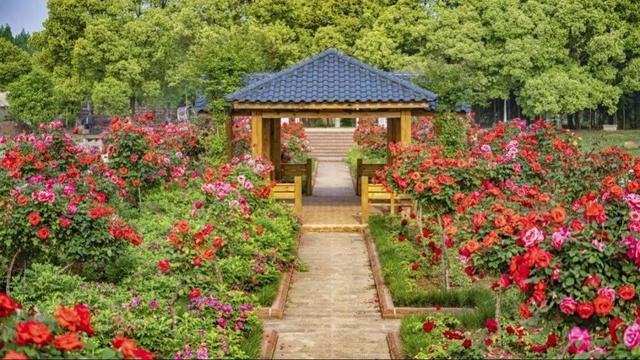 武汉双柳伊甸园印象