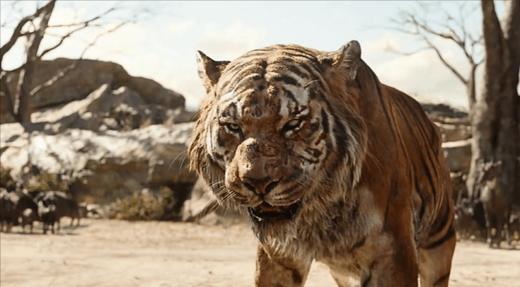 百兽共舞的《奇幻森林》,那些动物都是真的存在吗?(一)猛兽篇