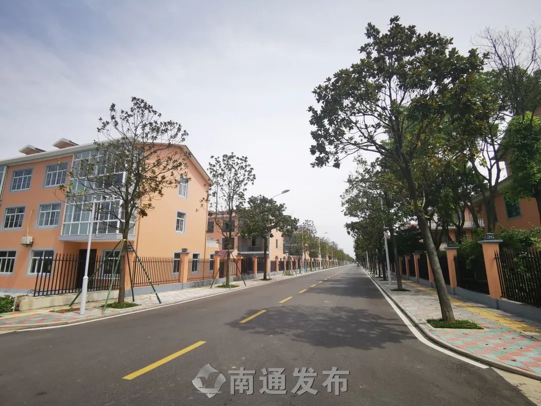 南通这个村,人均可支配收入5.5万!看完羡慕了!