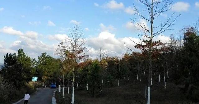 岳阳架子山公园什么时候开建?