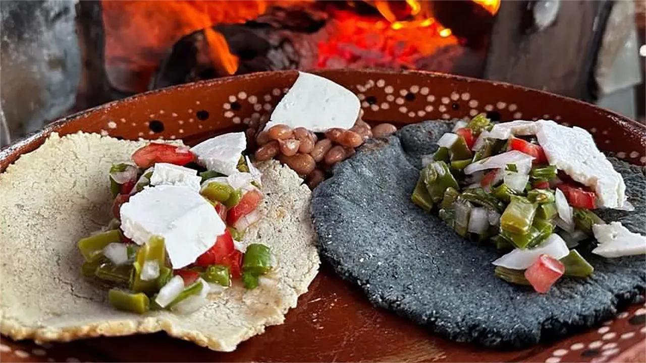 仙人掌仙人掌炸玉米饼