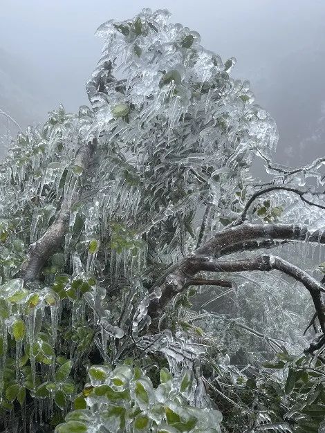 平天山雪景图片