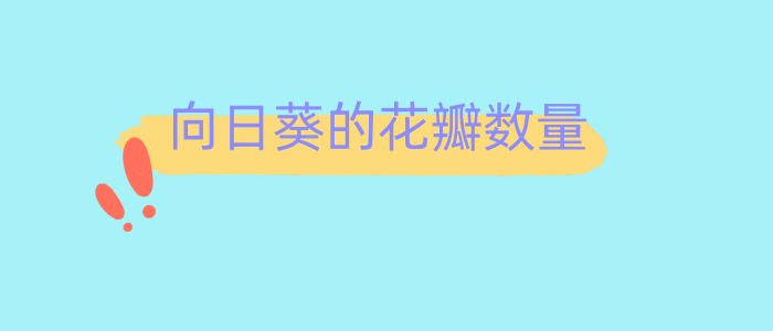 向日葵的花瓣数量