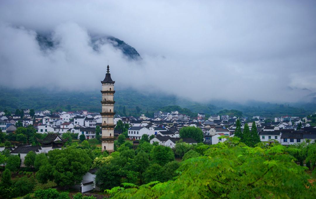 浦江户籍,限时免费,半价!