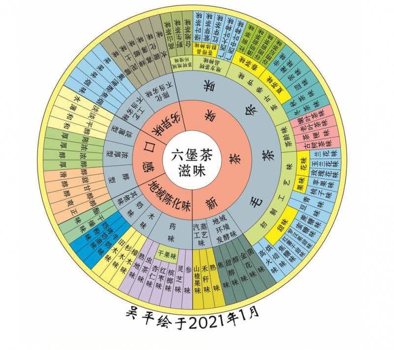 六堡茶风味轮是怎样绘成的?