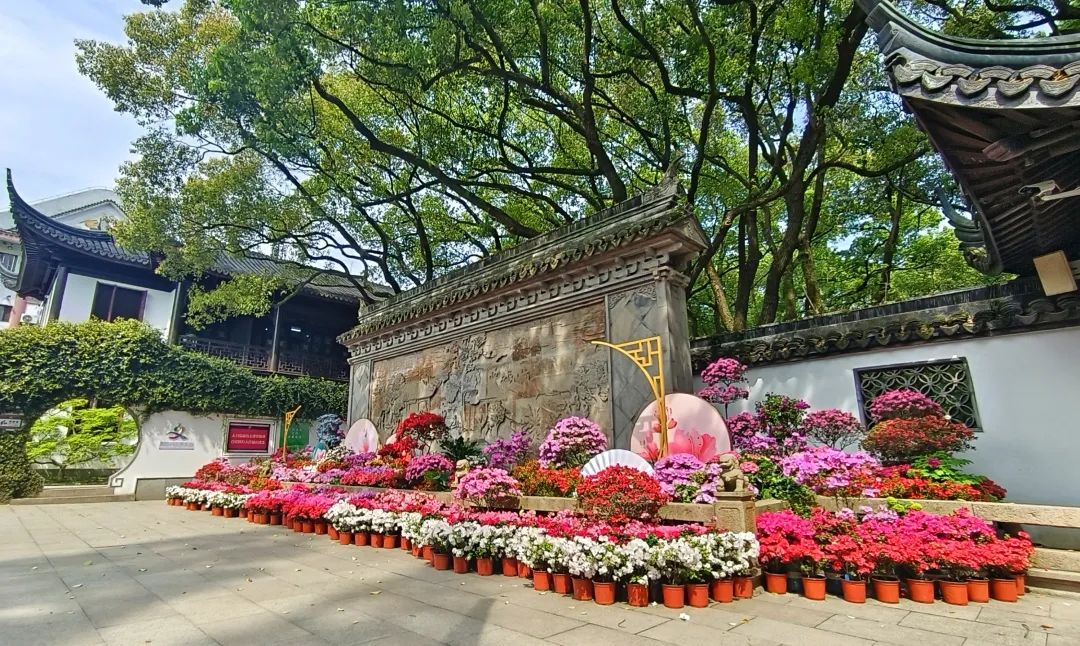 上海景区春日玩法又上新