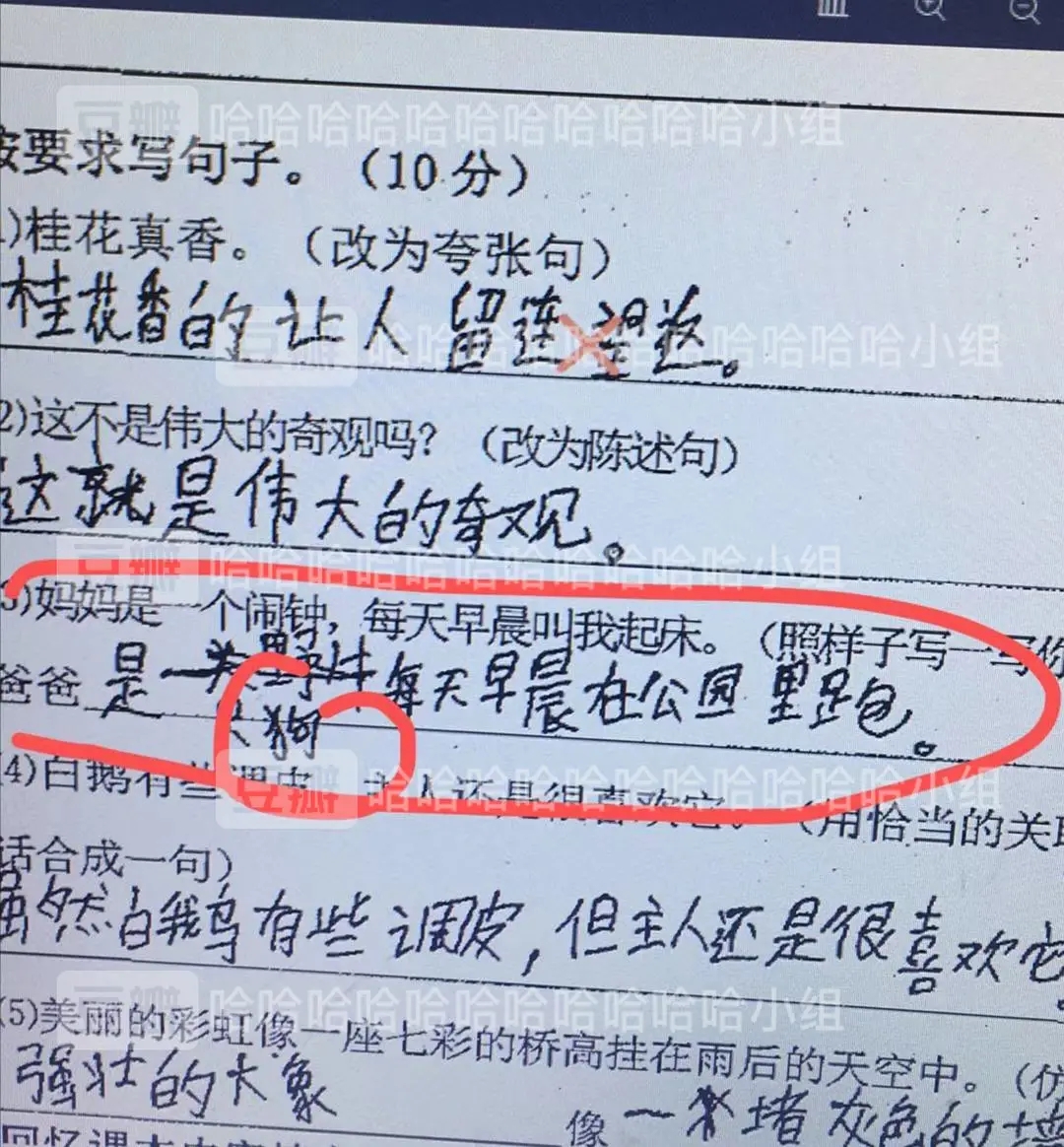 小学生造句有多好笑?爸爸看完直接崩溃:孩他妈,我的七匹狼呢?